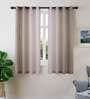 Brown Solid Polyester 5 Ft Sheer Eyelet Window Curtains (Set of 2)