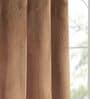 Brown Polyester Solid 7 ft Light Filtering Eyelet (Set of 2) Door Curtains