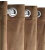 Brown Polyester Solid 7 ft Light Filtering Eyelet (Set of 2) Door Curtains