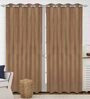 Brown Polyester Solid 9 ft Light Filtering Eyelet Door Curtain