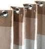 Brown Polyester Striped 5 Ft Blackout Eyelet 2 Window Curtains