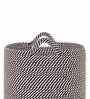 Brown Polypropylene 52 Ltr (1Pc) Storage Basket