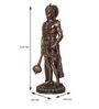 Brown Polyresin and Bronze Standing Lord Hanuman Idol with Gada/Mace