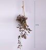 Brown Artificial Creeper Bonsai with Jute Bag
