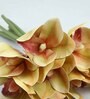 Brown Polyurethane Cymbedium Orchids Bunche Artificial Flowers