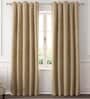Brown Solid Polyester 7 Ft Blackout Eyelet Door Curtains (Set of 2)