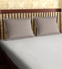 Brown Patterned 300TC Cotton 27 x 18 Inches Pillow Covers (Set of 2)