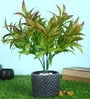 Brown PVC Artificial Plant Without Pot