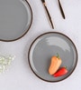 Brown Quarter Plates Set of 2