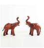 Brown Regzine Elephant Set Of 2 Figurine