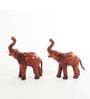 Brown Regzine Elephant Set Of 2 Figurine