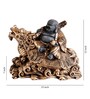 Brown Resin 12 Inch Dragon Buddha Idol