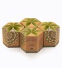 Green Rose Wood Fragrance (Pack of 4) Incense Cones