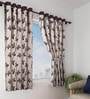 Brown Floral Polyester 5 Ft Semisheer Eyelet Window Curtains (Set of 2)