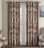 Brown Traditional Polyester 9 Ft Semisheer Eyelet Door Curtains (Set of 2)