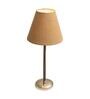 Brown Shade Table Lamp With Stainless Steel Base