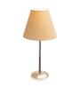 Brown Shade Table Lamp With Stainless Steel Base