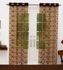 Brown Polyester Sheer 9 Feet Eyelet Curtain (Set of 2)