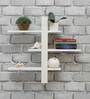 White Sheesham Wood Book Shelf