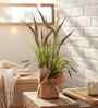 Brown Silk Plastic And Jute Artificial Foxtail Grass Arrangement Flower Bunch With Jute Wrap