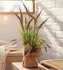 Brown Silk Plastic And Jute Artificial Foxtail Grass Arrangement Flower Bunch With Jute Wrap