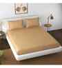 Brown Solid 144 TC Cotton King Fitted Bedsheet Bedsheet 2 Pillow Shades Collection