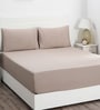 Brown Solid 200 TC Cotton King Sized Bed Sheets with 2 Pillow Covers