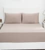 Brown Solid 200 TC Cotton King Sized Bed Sheets with 2 Pillow Covers