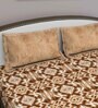 Brown Abstract 210 TC Cotton Queen Sized Bed Sheets with 2 Pillow Covers
