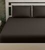 Brown Stripes 280 TC Cotton King Sized Bed Sheets with 2 Pillow Covers
