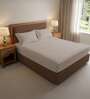 Brown Solid 300 TC Cotton King Sized Bedsheet with 2 Pillow Covers
