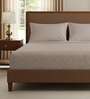 Brown Solid 300 TC Cotton King Sized Bedsheet with 2 Pillow Covers