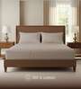 Brown Solid 300 TC Cotton King Sized Bedsheet with 2 Pillow Covers