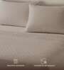 Brown Solid 300 TC Cotton King Sized Fitted Bedsheet with 2 Pillow Covers