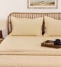 Brown Solid 600 TC Cotton 1 Double Bedcover with 2 Pillow cover