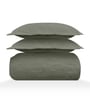 Oilve Solid GSM 300 Pure Cotton King Size Bedcover With 2 Pillow Covers