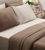 Brown Solid GSM 320 Cotton Single Bed Cover