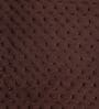 Brown Solid Velvet 27x18 Inches Pillow Cover (1Pc)