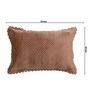 Brown Solid Velvet 27x18 Inches Pillow Covers (Set of 2)