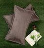 Brown Solid Velvet 27x18 Inches Pillow Covers (Set of 2)