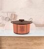 Brown Stainless Steel 3Ltr Insulated Thermoware Casserole