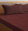 Brown Striped 300 TC 100% Cotton Double Queen Bedsheet With 2 Pillow Covers