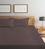 Brown Stripes 300 TC Cotton Blend Double King Sized Bedsheet With 2 Pillow Covers