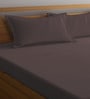 Brown Stripes 300 TC Cotton Blend Double King Sized Bedsheet With 2 Pillow Covers