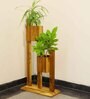 Brown Teak Wood Dual Planter Stand