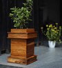 Brown Teak Wood Floor Planter