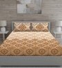 Brown Traditional 150 TC Cotton Queen Sized Bed Sheets with 2 Pillow Covers
