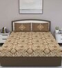 Brown Traditional 180 TC Cotton Queen Sized Bed Sheets with 2 Pillow Covers
