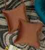 Brown Velvet Abstract 16X16 Inches Cushion Covers (Pack of 2)