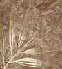 Brown Velvet Floral 16X16 Inches Cushion Covers (2Pcs)